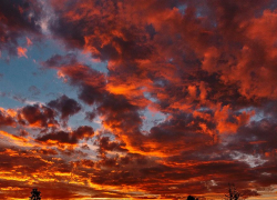 Увидела фотографию мужа с другой: в Михайловке нашли повешенными молодую мать и парня, - "Блокнот Волгограда"