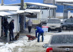 В Камышине взялись расчищать центральный рынок после снегопада