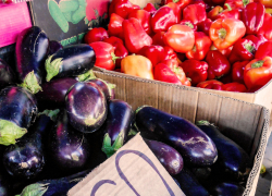 В Камышине хитом рыночных продаж становятся подешевевшие баклажаны