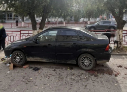 В пресс-службе волгоградской полиции "сократили" количество пострадавших на стихийном рынке на улице Ленина в Камышине? 