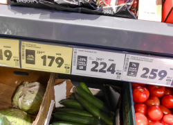 В Камышине начали дешеветь тепличные свежие огурцы