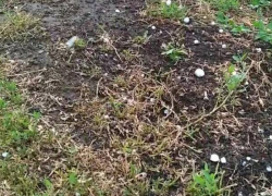 В хуторе в Волгоградской области в 36-градусную жару выпал град