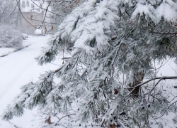 Камышин заметает снегом 23 февраля: в погодном "меню" также северный ветер