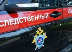 Шаг с обращением родителей к возможному похитителю 11-летней камышанки прокомментировал руководитель Следственного отдела