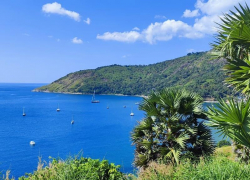 "День рождения Лотереи" - что знают камышане о сайтах счастливых билетов? 