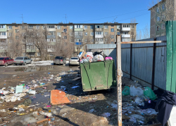 Мусорные площадки хотят поручить содержать регоператору: вполне логично!