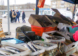 Зарплаты уменьшились у жителей Волгоградской области, признал Росстат  