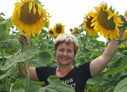 Что известно о "семенном" инвестпроекте, площадка для которого появится в Камышинском районе