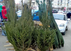 Морозы немного ослабеют в Камышине, появится больше облаков