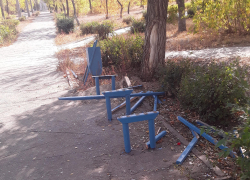 Лавочки в парке Строителей вандалы раскрошили, где же теперь влюбленным целоваться? - камышанка