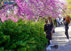 Волгоград начали аврально приводить в порядок к приезду Путина и Лукашенко: даже покрасят газоны 