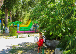 В Камышине будет солнечно и жарко 23 августа, а завтра на весь день зарядит дождь