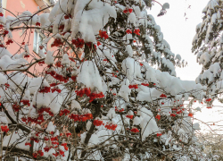 Девять многоквартирных домов отключают энергетики от электричества сегодня, 3 февраля, в Камышине