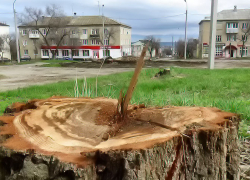 Где в Камышине можно будет голосовать за объекты благоустройства?