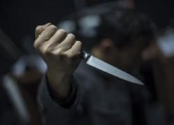 В убийстве бывшего директора  школы, изрубленного на куски, сознался его сын