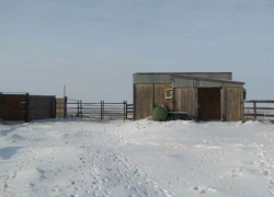 Пока отец спал, сын хладнокровно расстрелял нанятого работника