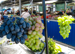 В Камышине начали продавать виноград по супердорогой цене