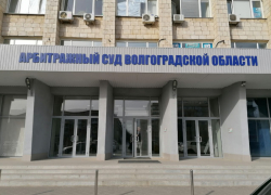 Лунтик, Кузя и Божья коровка Мила массово доводят до суда предпринимателей из Волгоградской области, в том числе Камышина, - "Блокнот Волгограда"