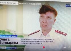 Начальник отдела управления Роспотребнадзора Ольга Болдырева назвала вирус, поразивший детей в камышинском лагере "Солнечный"