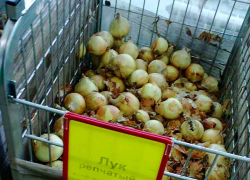 В Волгоградской области рекордными темпами взлетели ценники на лук и морковь
