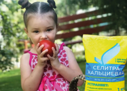 Без кальциевой селитры хороший урожай не соберешь  