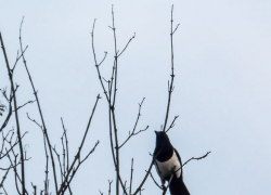 В Волгоградской области на фоне яркого солнца неожиданно объявили "желтый" уровень погодной опасности