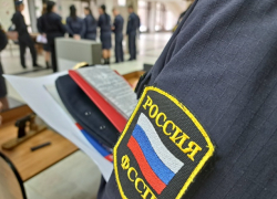 Почему в Камышине судебные приставы передали детей под опеку государства при живой матери