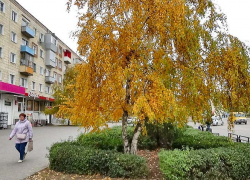 Известный волгоградский астролог назвала два удачных дня ноября для кардинальных перемен в жизни