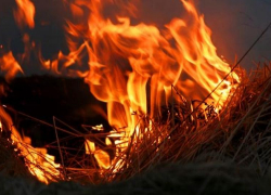 В Камышинском районе в фермерском хозяйстве огонь перекинулся с рулонов сена на хозпостройку