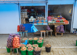 "Дачную" погоду обещают синоптики камышанам в конце недели