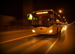 За демонстрацию полового органа пассажирам автобуса "секс-гигант" будет год принудительно благоустраивать город