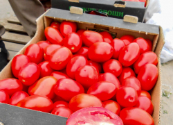 В Камышине помидоры подорожали до 200 рублей за килограмм