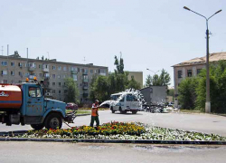 В Камышине водовозки не в состоянии противостоять жаре:  в городе горят деревья и цветники