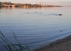 Власти Камышина сообщили об утопленнике на пляже 3-го городка