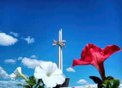 В Камышине памятный знак защитникам города в "мгновение ока" украсили цветники
