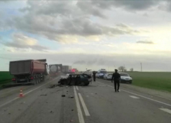 Волгоградцы отказались от празднования 1 мая: люди несут игрушки и цветы