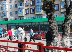 В Камышине везде продают тюльпановые букеты, но дешевых пока нет