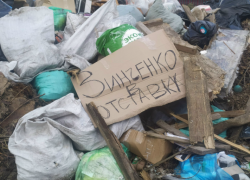 В Камышине властям нельзя допускать, чтобы мусорки становились политическим инструментом, - камышанин