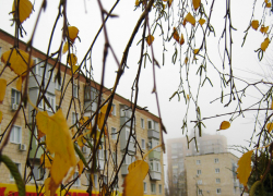 После затяжного дождя в Камышине похолодает сегодня, 20 ноября