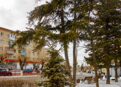 "Молодые люди пускали салют: с лёгкостью их можно найти по камерам "Пятерочки" и наказать", - камышанка