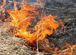 В Камышине степной пожар спалил часть кладбища