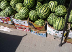 В Камышине на рынках подешевели арбузы, капуста, картошка и кукуруза