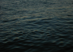 В Камышине на третьем городке утонул нетрезвый молодой мужчина