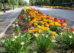 Отличная солнечная погода предсказана камышанам на 9 августа: все бы хорошо, если бы не новый геомагнитный шторм