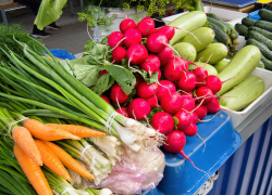 В Волгоградской области зафиксировали подешевевшую тарелку борща, но есть ли в ней мясо - неизвестно