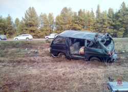 На хирургический стол попали пассажиры перевернувшегося минивэна