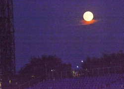 Над Камышином взошла Осетровая луна