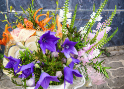 Жара и быстрый летний дождь: погода в Камышине на 4 июля (ВИДЕО)