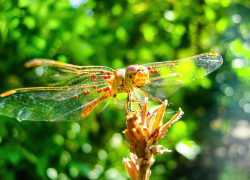 Учителя биологии, географии и экологии Волгоградской области обменялись опытом 