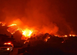 В селе Лебяжьем Камышинского района сожгли 110 свиней из-за африканской чумы